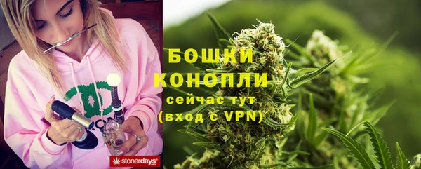 сатива Богородск